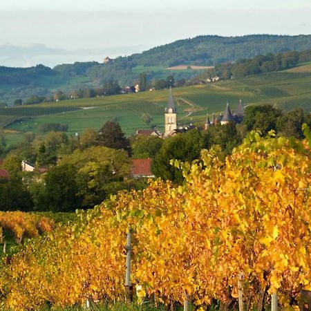 Gite Le Douglas, Vignoble Et Reculees Du Jura - Avec Sauna Lavigny エクステリア 写真